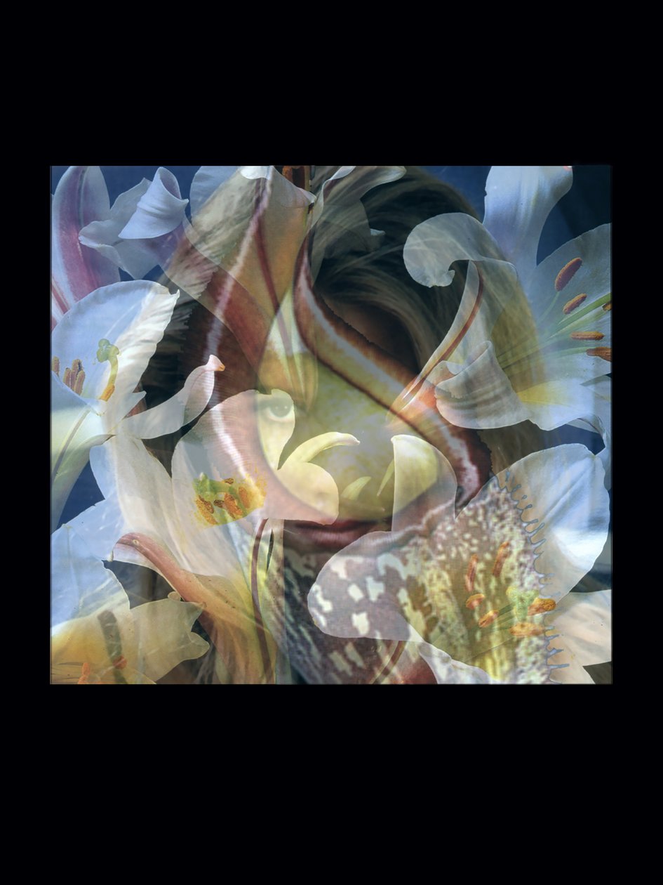 Flesheaters 3 - Mat Collishaw
