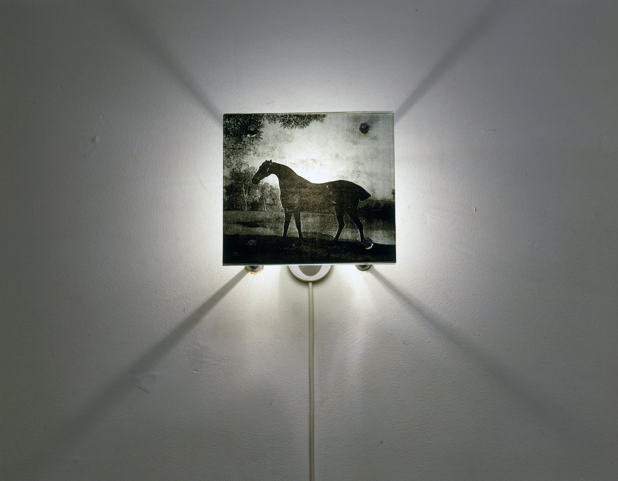 Chevaux Stubbs - Mat Collishaw