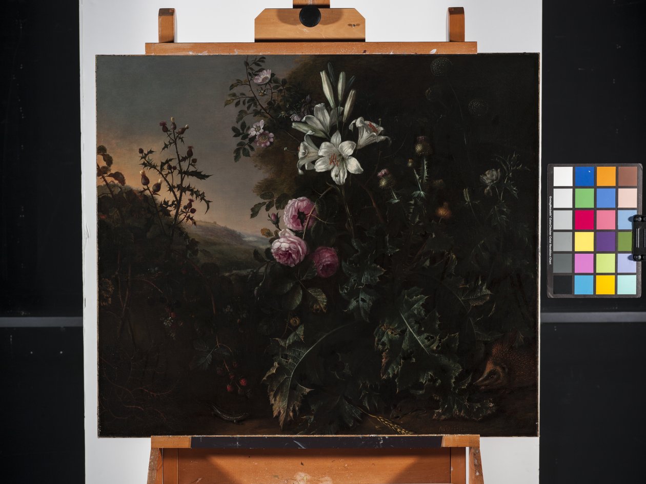 Nature morte - Matthias Withoos