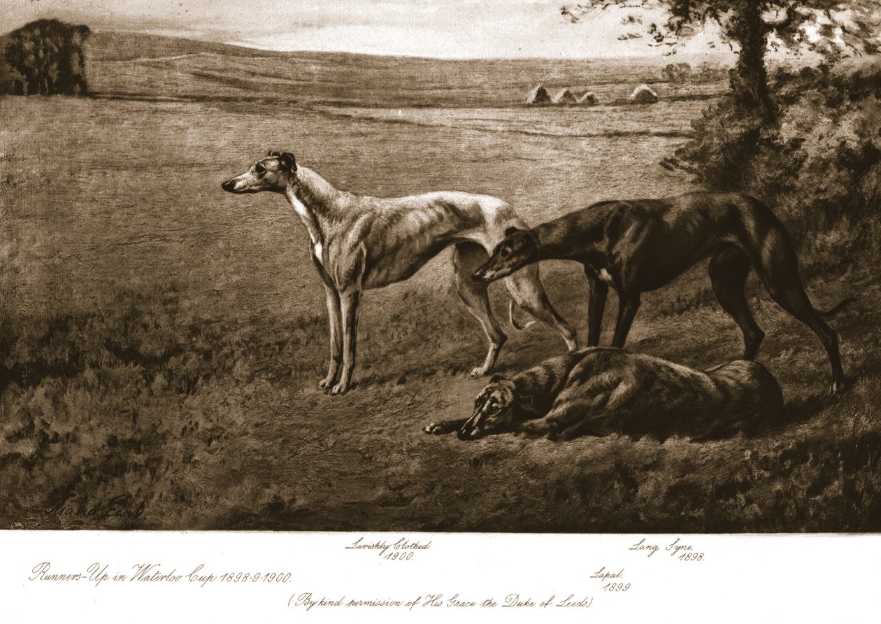 Les chiens du duc de Leeds, 1911 - Maud Earl