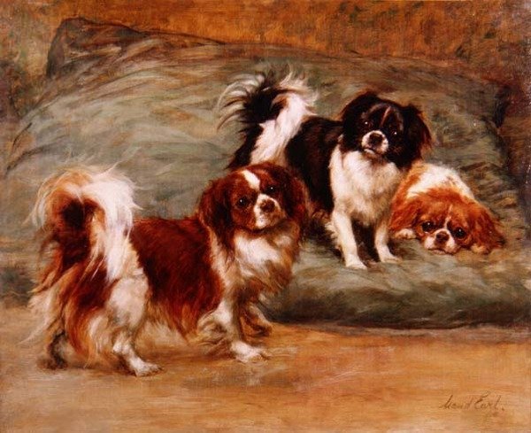 Trois épagneuls King Charles sur un coussin - Maud Earl