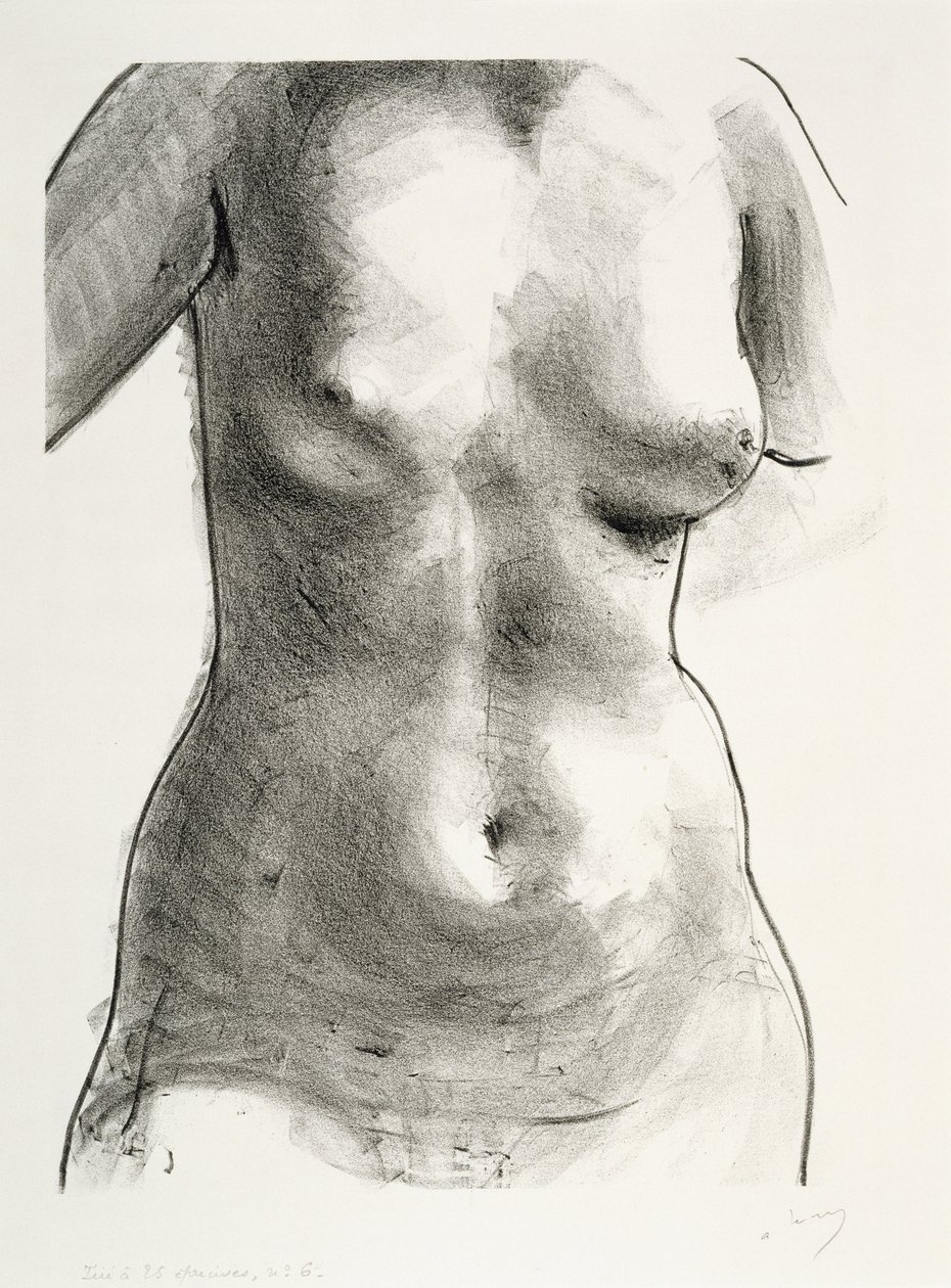 Torse d