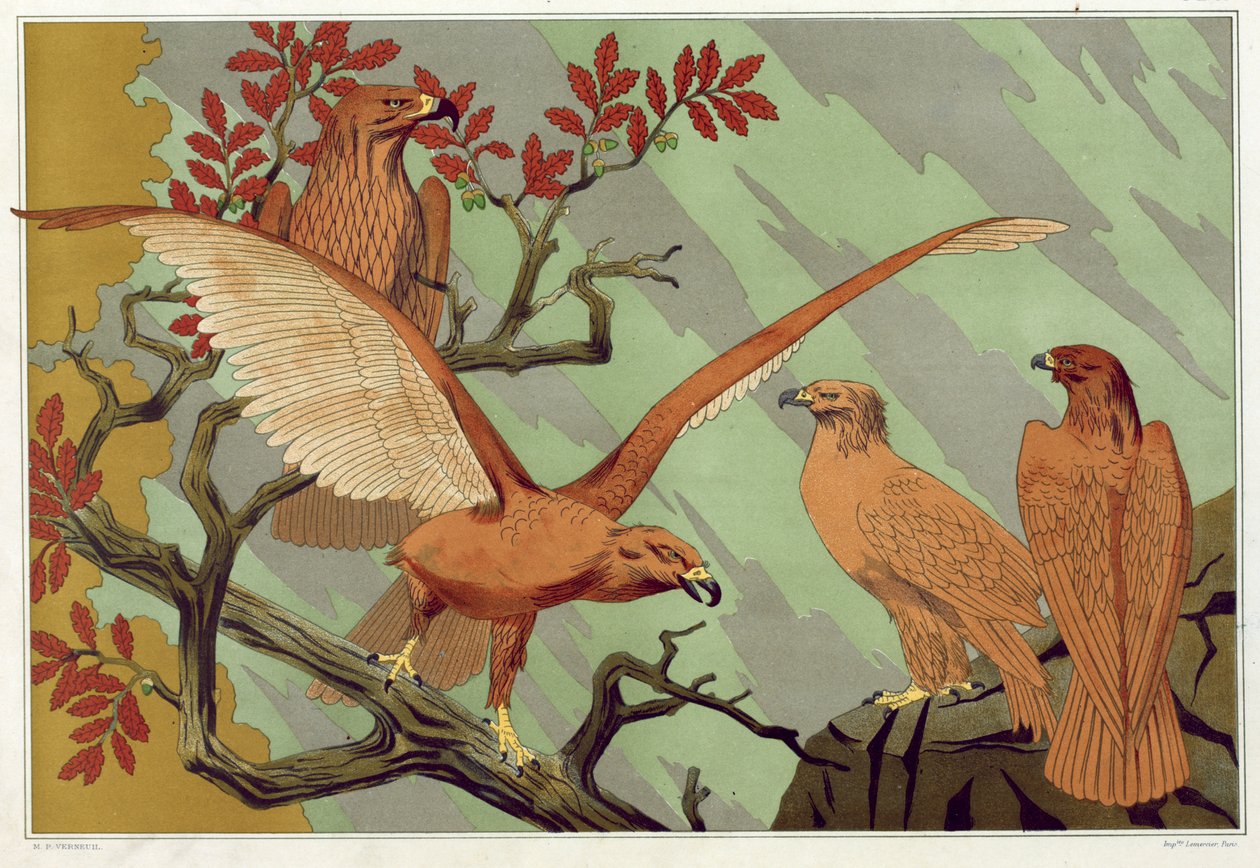 Aigles - Maurice Pillard Verneuil