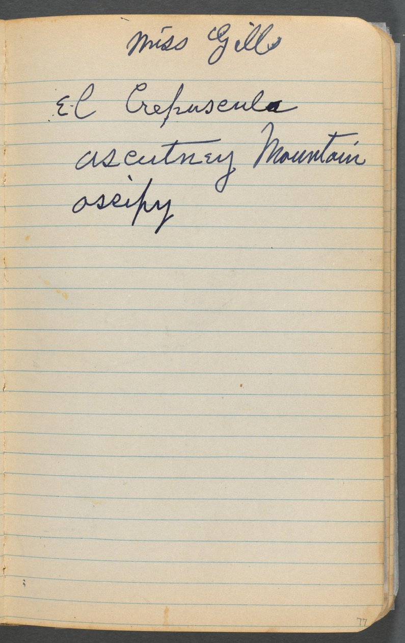 Carnet de croquis, page 077 : Notes - Maurice Prendergast