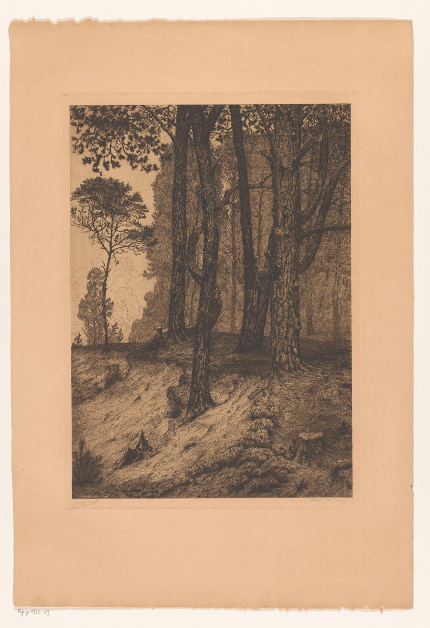 Lisière de forêt - Maurits van der Valk (signed by artist)