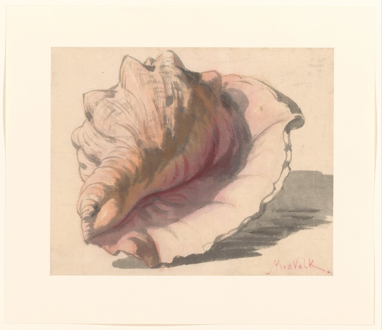 Coquillage - Maurits van der Valk