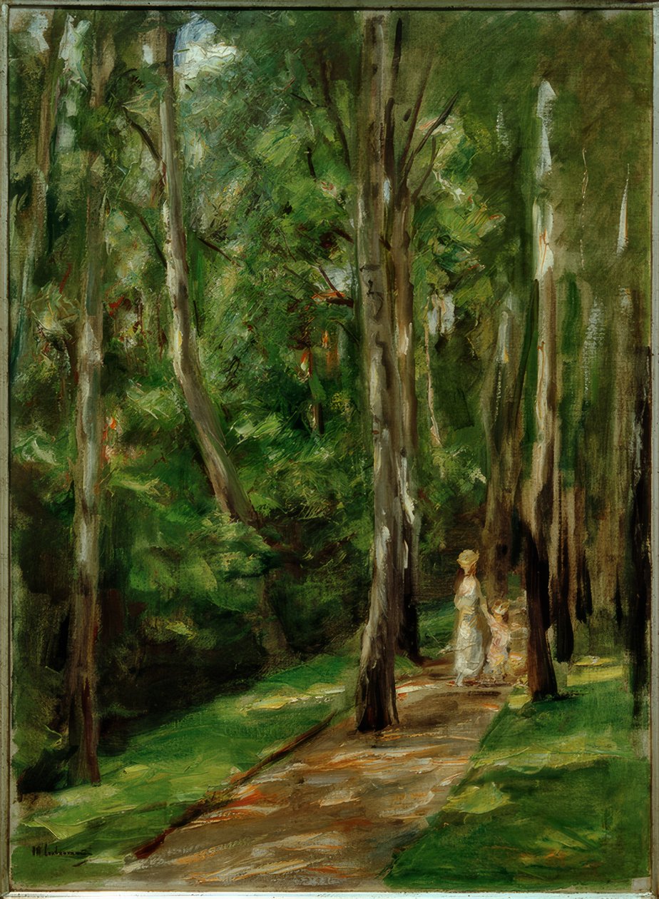 Chemin de bouleaux à Wannsee vers l