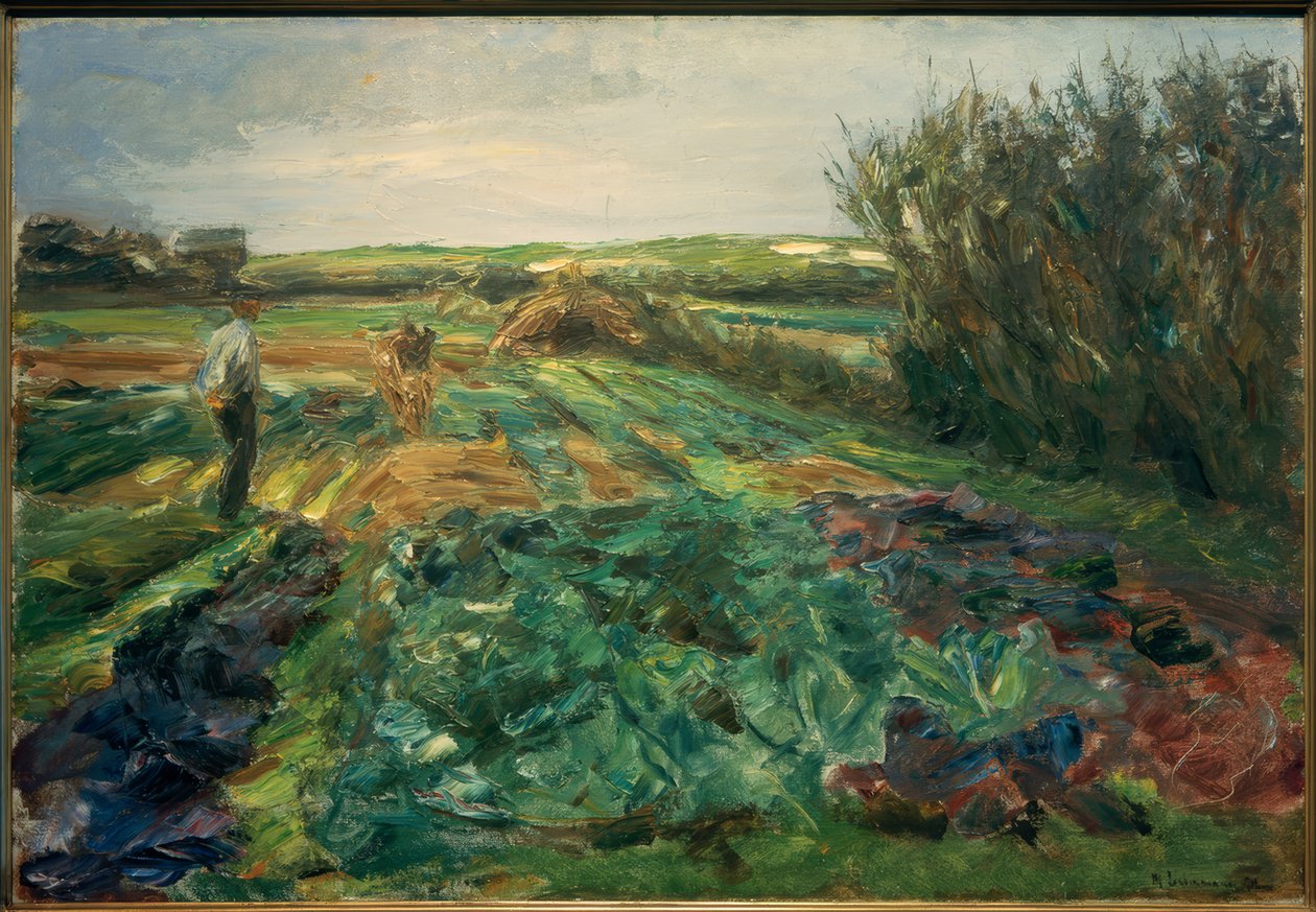 Le champ de choux (Noordwijk) - Max Liebermann