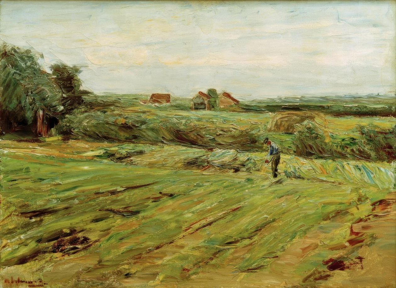 Champ de récolte – Champ de choux (?) - Max Liebermann