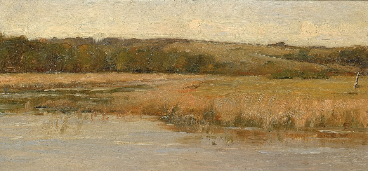 Collines et marais - Max Weyl