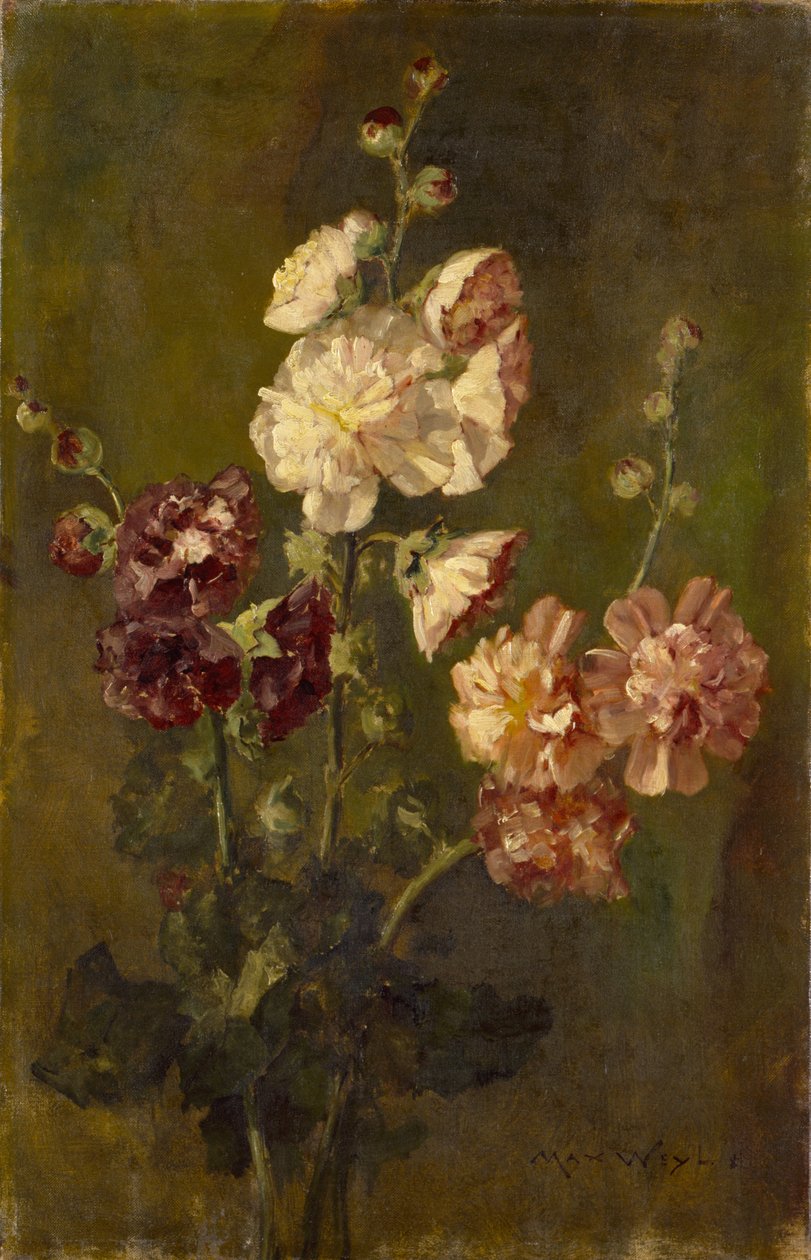 Roses trémières - Max Weyl