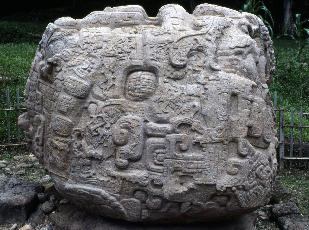 Vue latérale de la pierre zoomorphe P, période classique tardive (600-900 AD) - Mayan