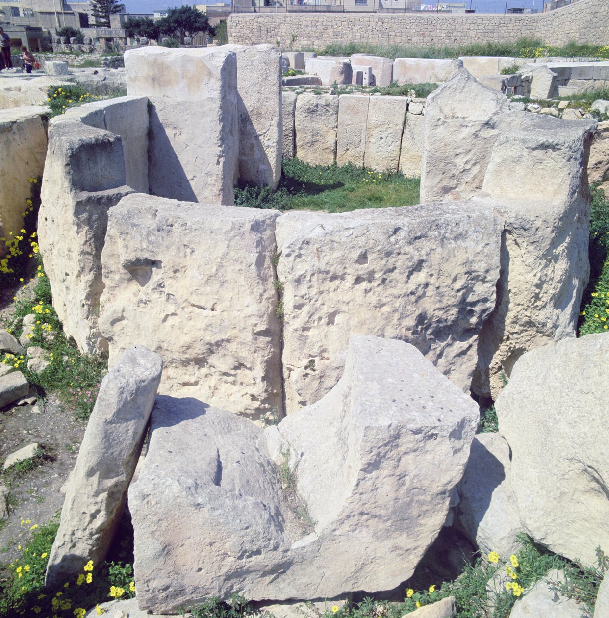 Site de temple mégalithique - Megalithic