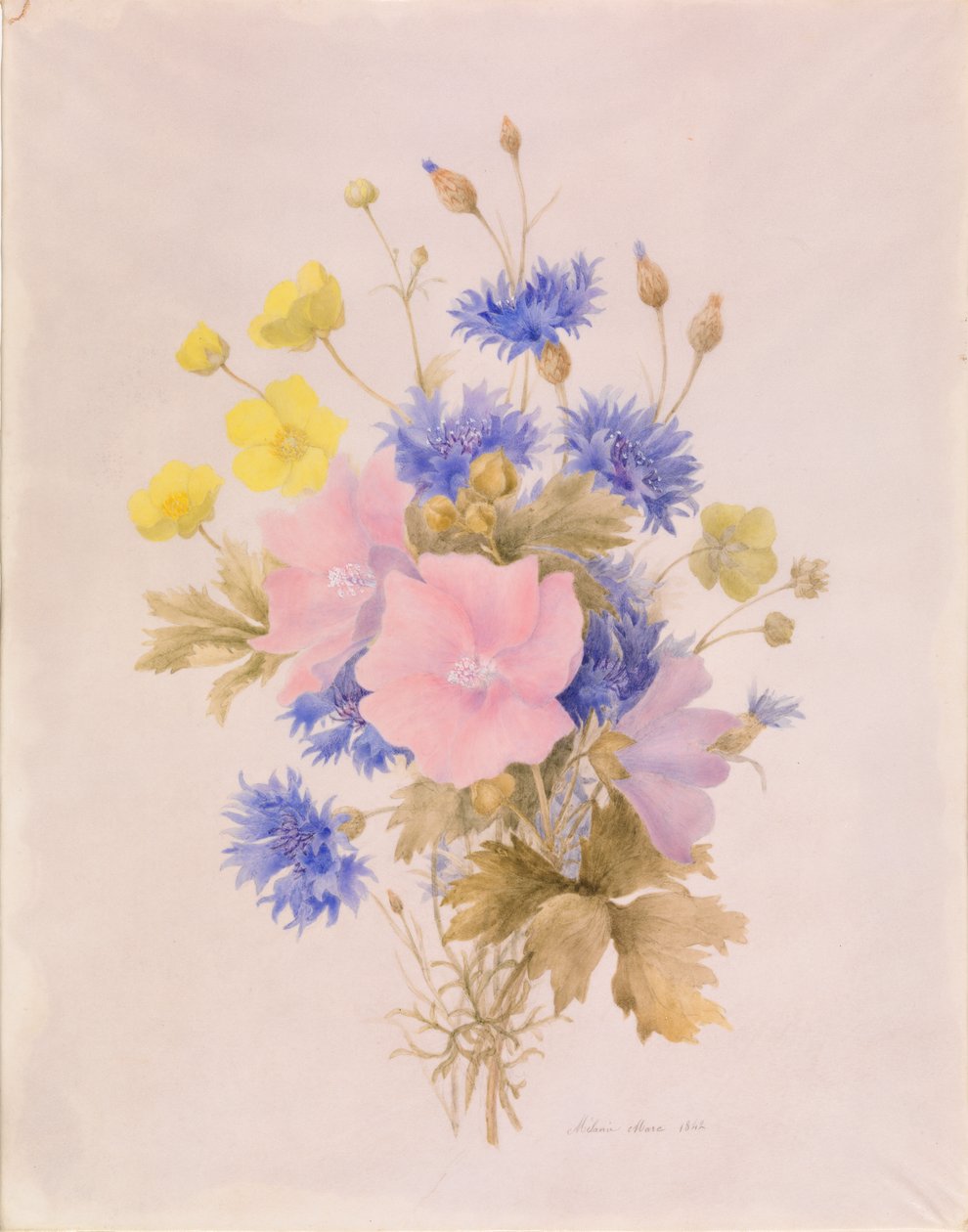 Fleurs des champs - Melanie Marc