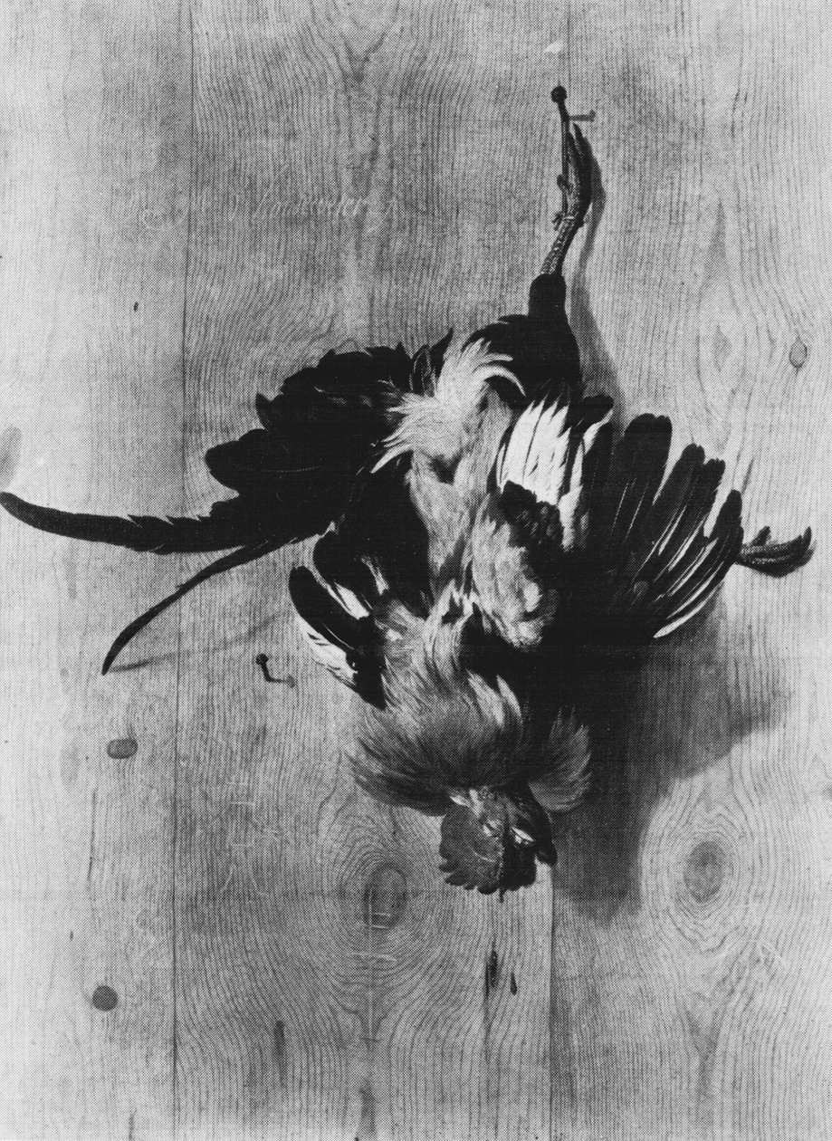 Coq mort, suspendu à un clou - Melchior de Hondecoeter
