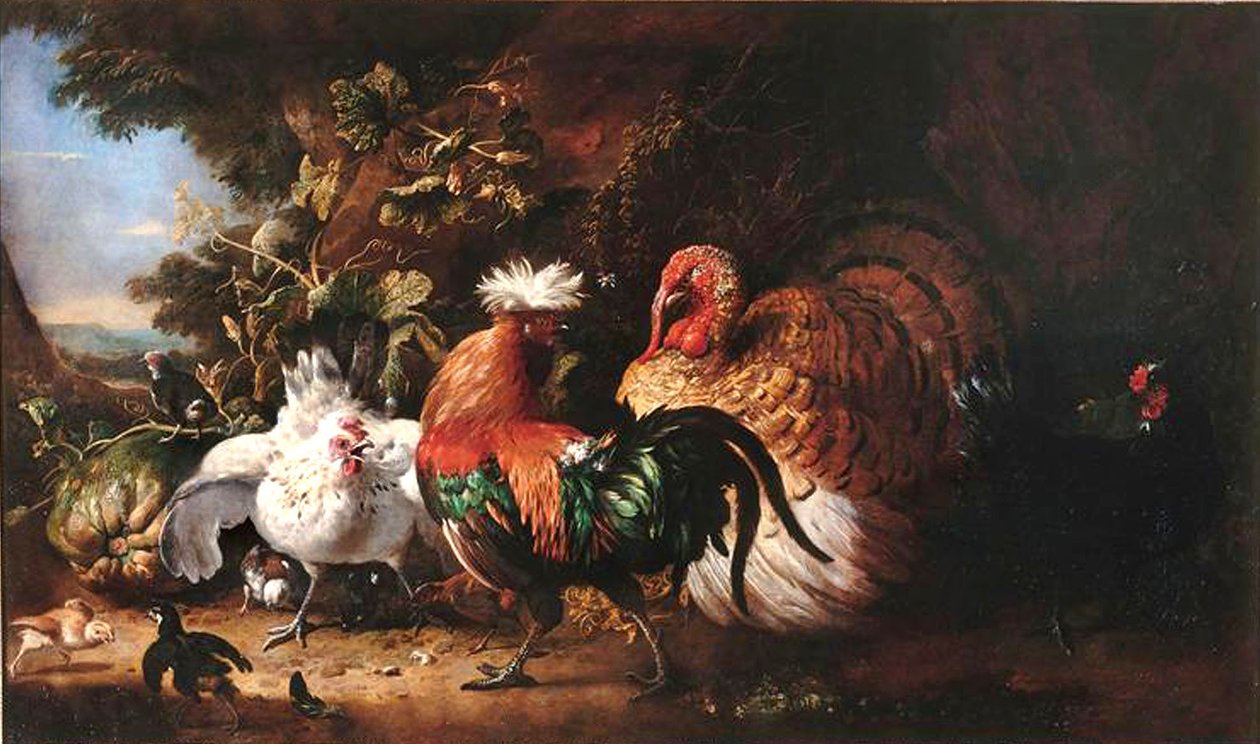 French: Oiseaux de basse-cour - Melchior d