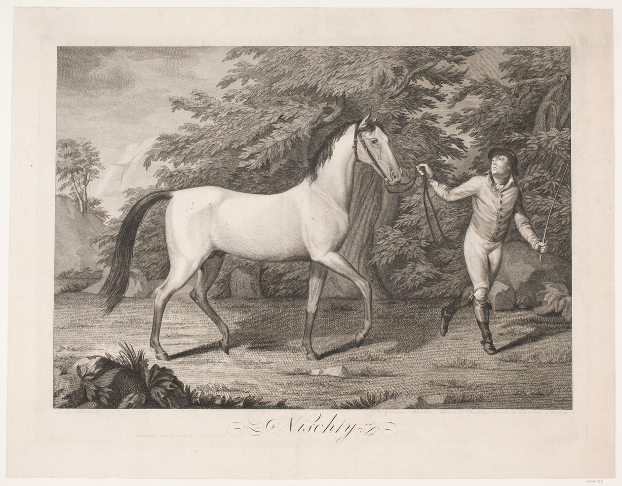 Le cheval "Hesten Nischty" - Meno Haas