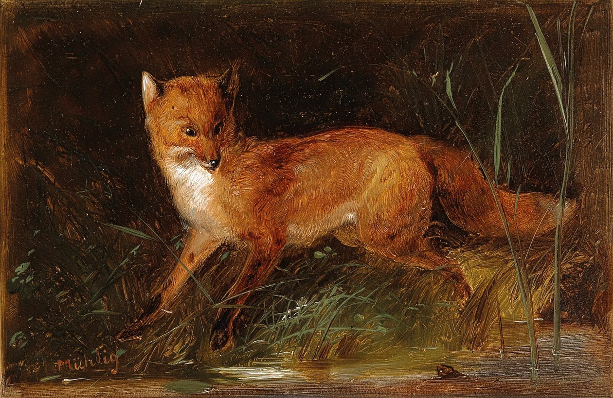 Meno Mühlig Renard - Meno Muhlig