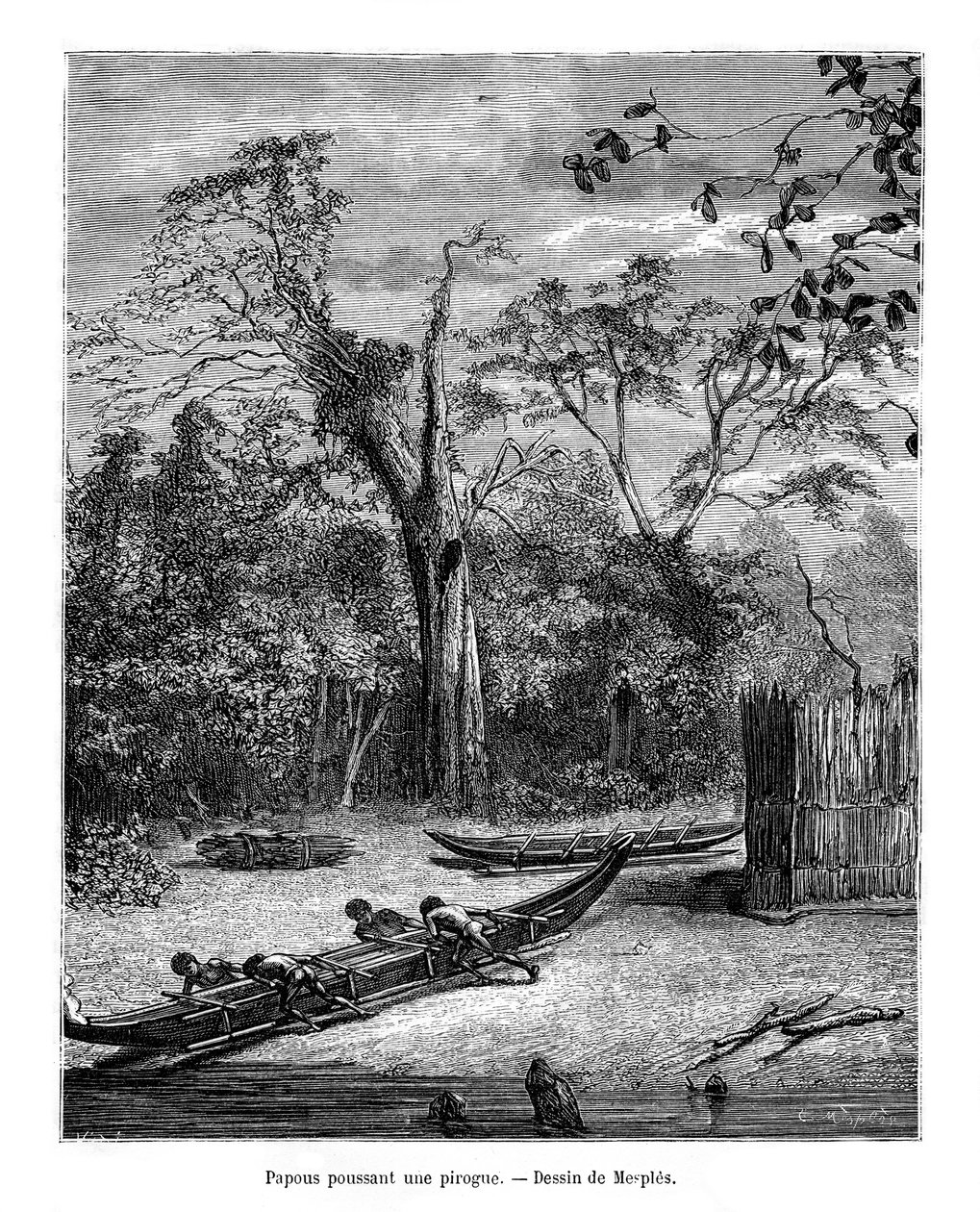 Pirogue de pêche, Papouasie, 19e siècle - Mesples