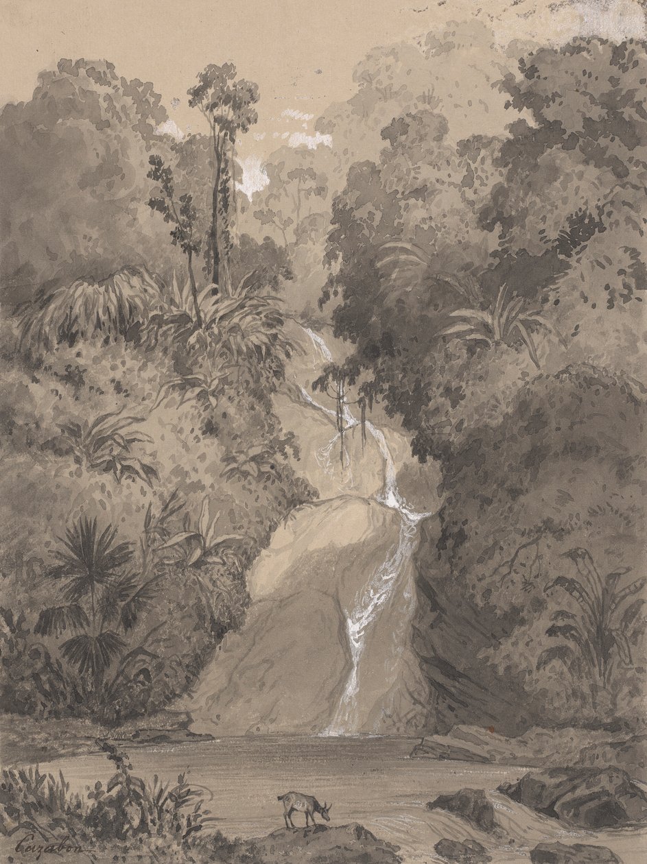 Cascade à St. Anns - Michel Jean Cazabon
