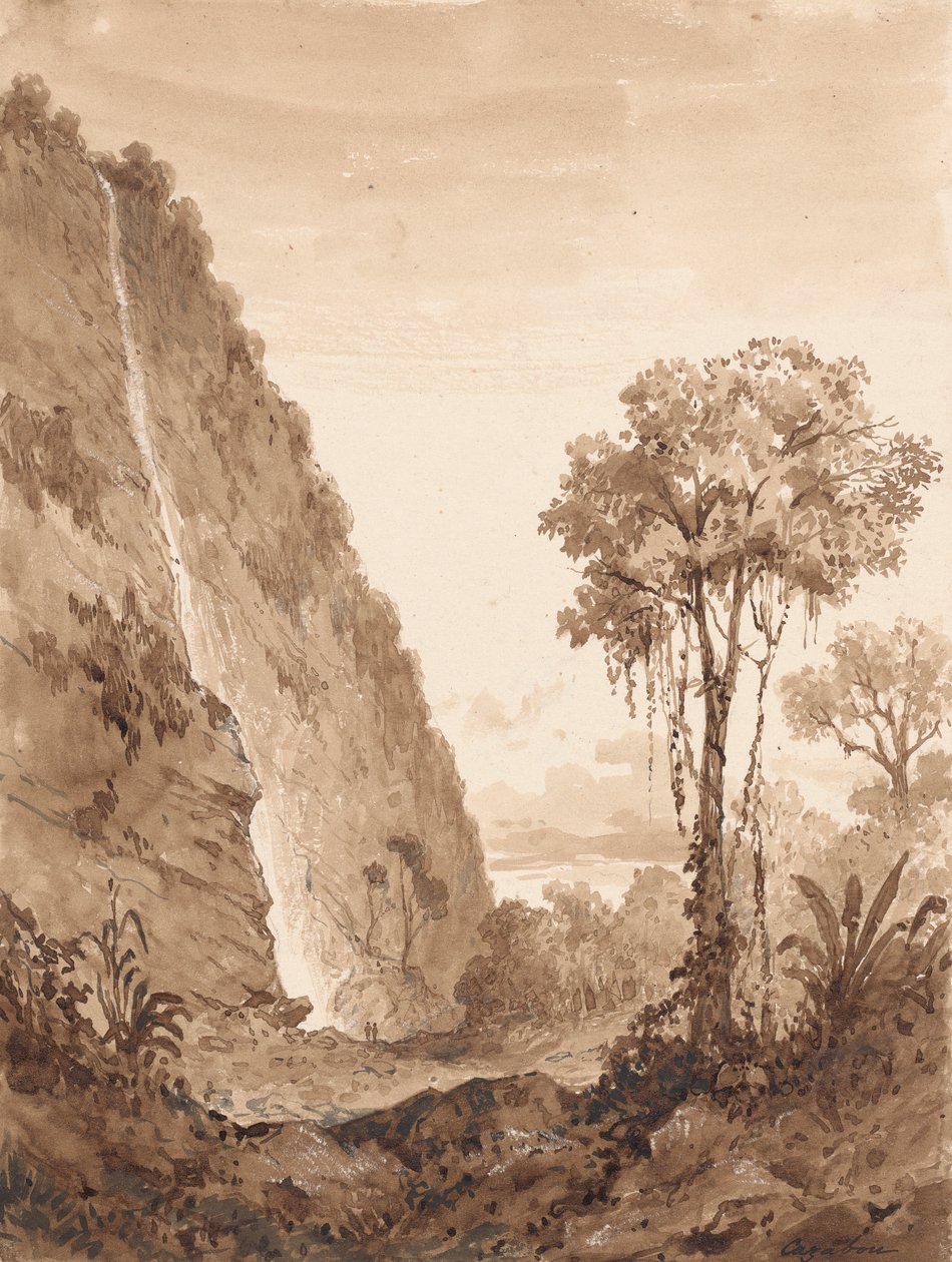 Cascade de Maraccas - Michel Jean Cazabon