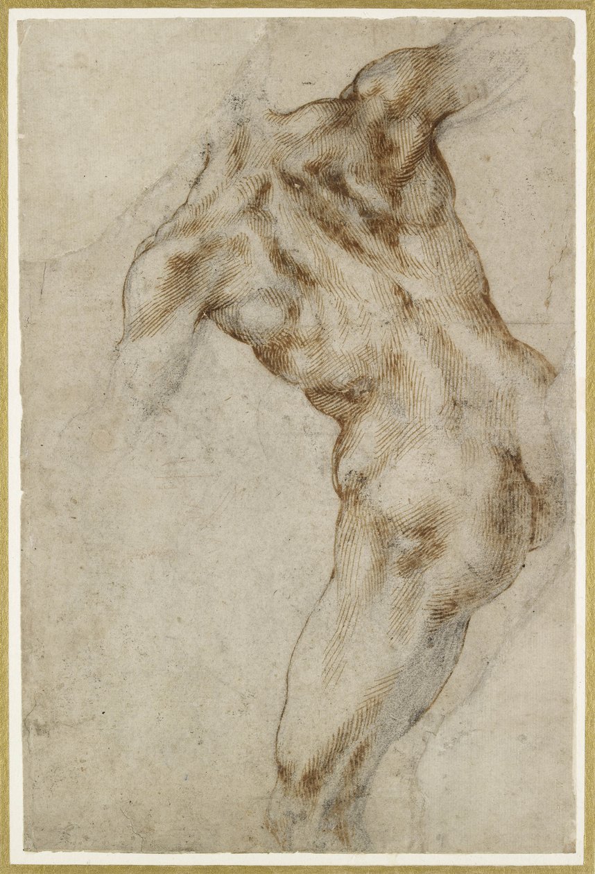 Torso masculin nu - Michelangelo Buonarroti