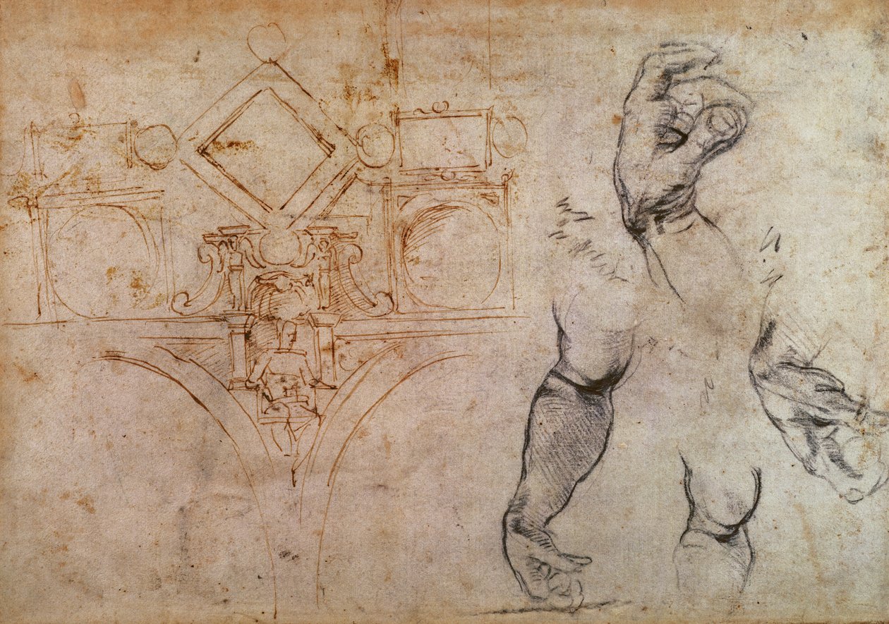 Schéma pour le plafond de la chapelle Sixtine, c.1508 - Michelangelo Buonarroti