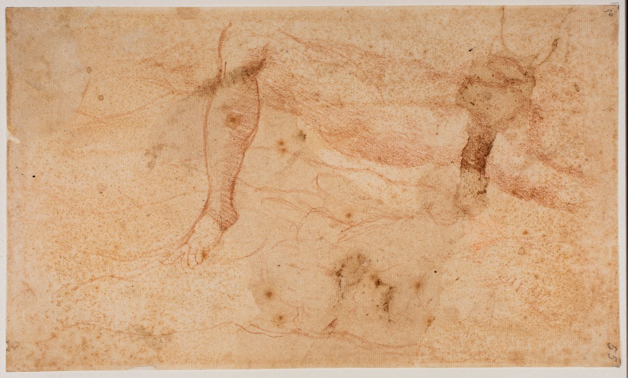 Études de nus - Michelangelo (after) Buonarroti