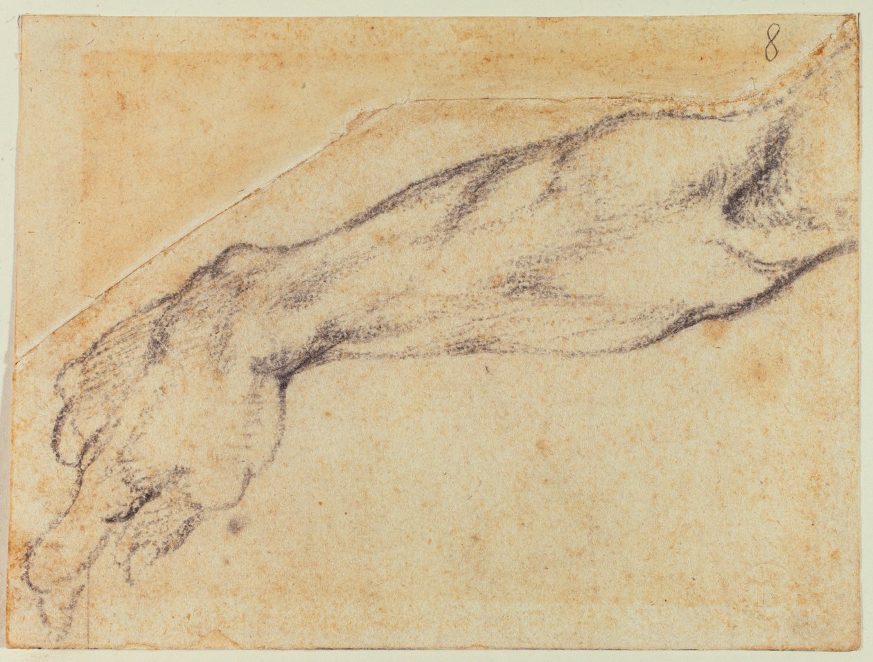 Étude de bras pour une figure de la Chapelle Sixtine - Michelangelo Buonarroti