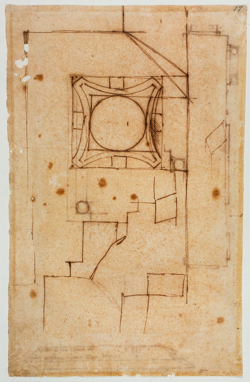 Section horizontale du chapiteau - Michelangelo Buonarroti