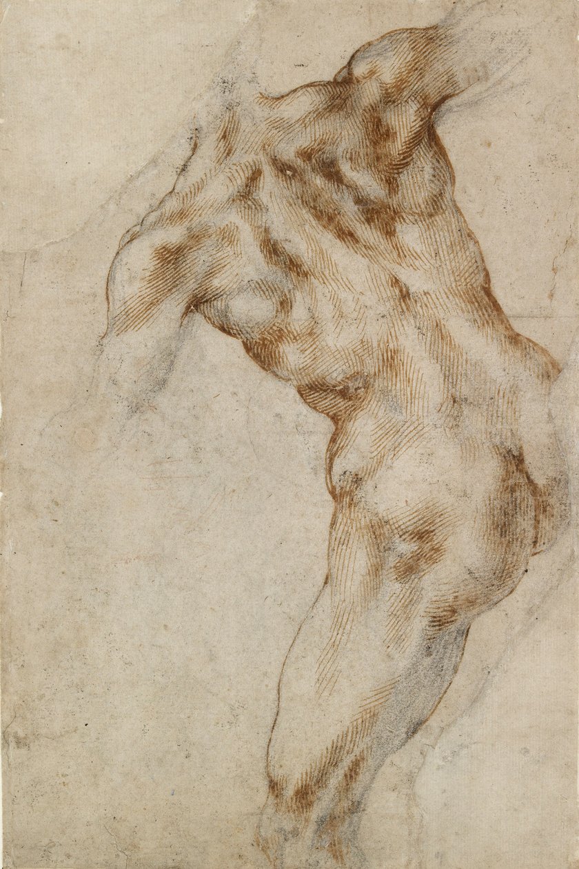 Torso masculin nu - Michelangelo Buonarroti