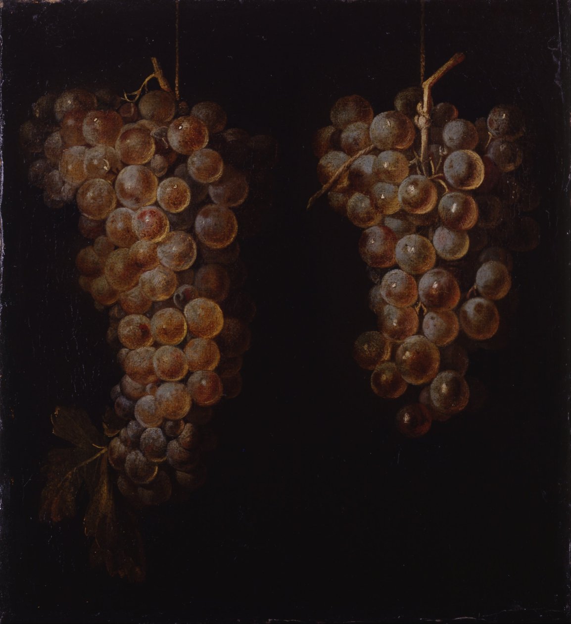 Grappe de raisins - Miguel de Pret