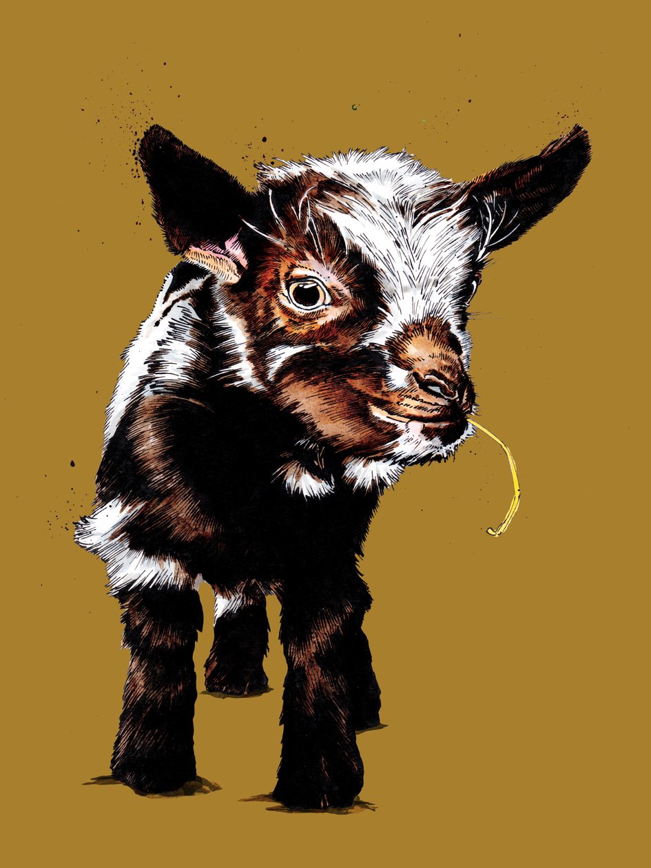 Chevreau sur jaune doré, 2020 - Mike Davis