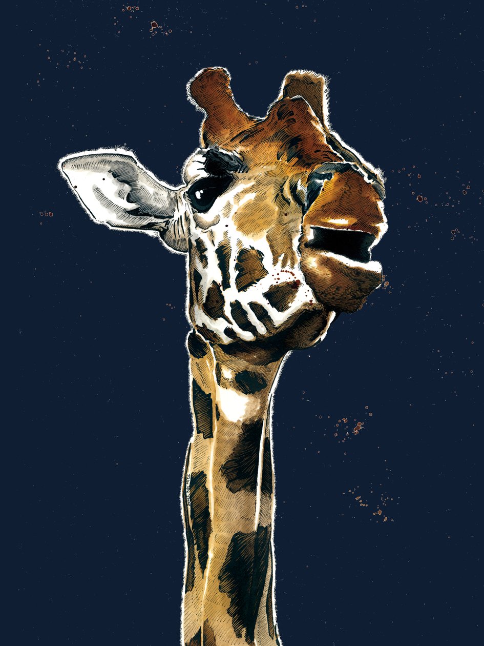 La Girafe sur Bleu Minuit - Mike Davis