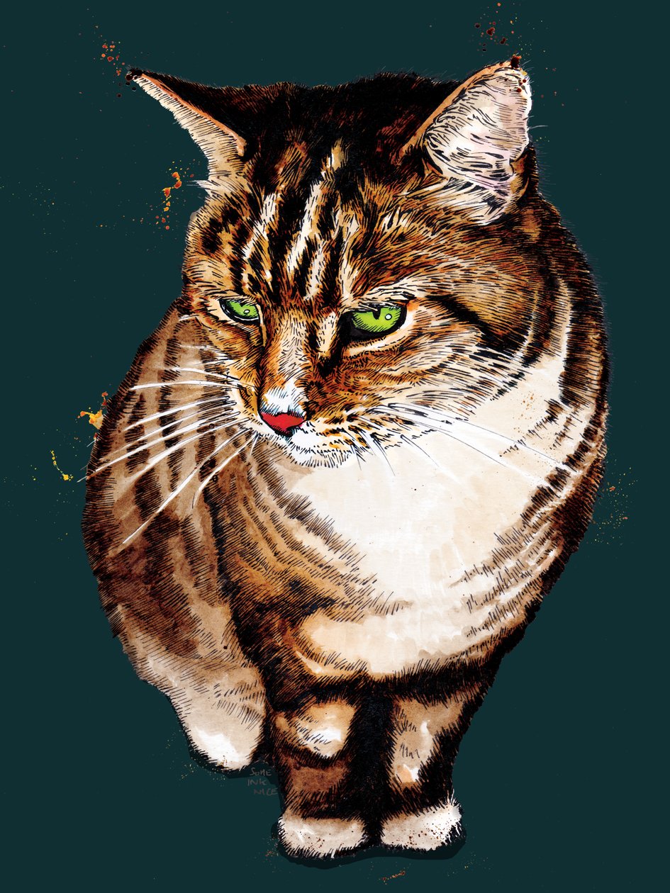 Le Chat Tigré sur Cyan Profond, 2020 - Mike Davis