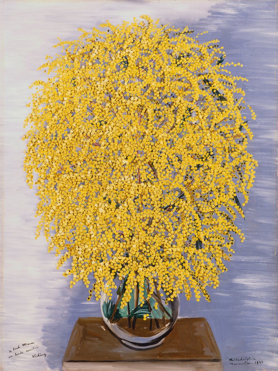 Mimosas - Moise Kisling