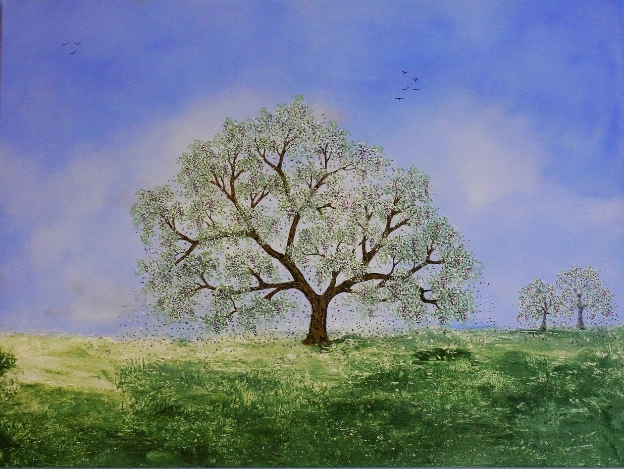 Instants - Monika Wittrich