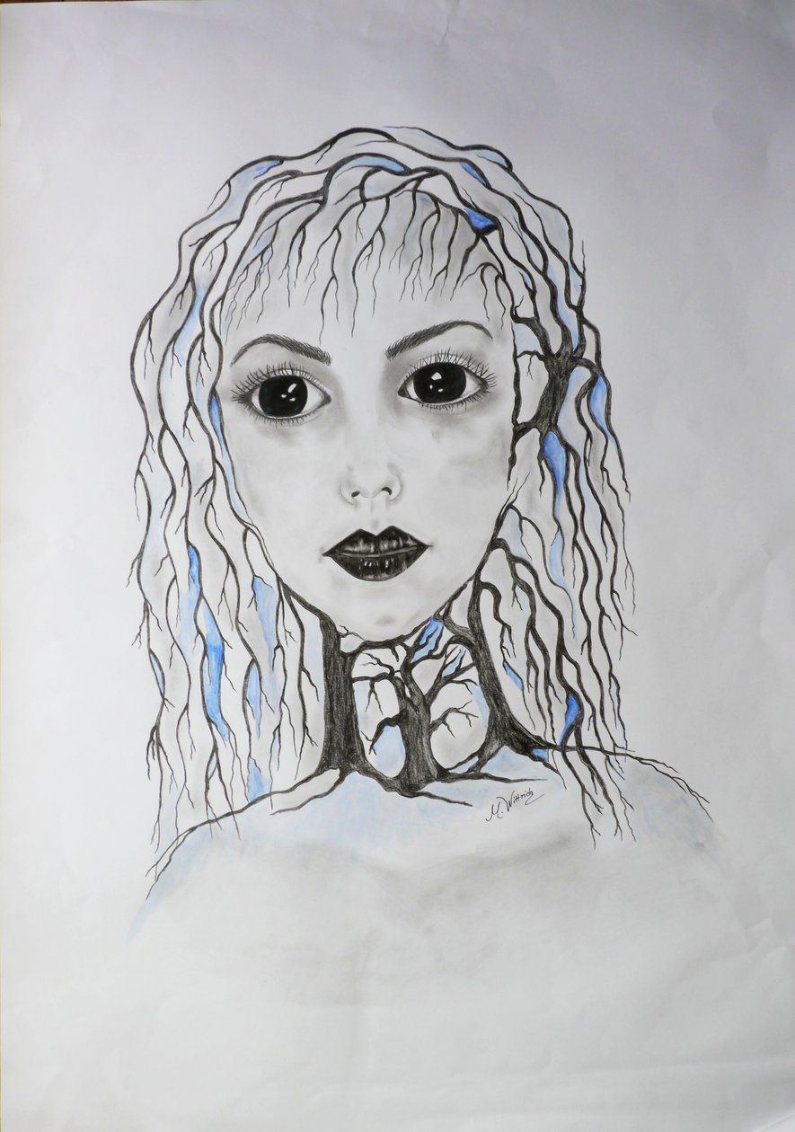 Mort des arbres - Monika Wittrich
