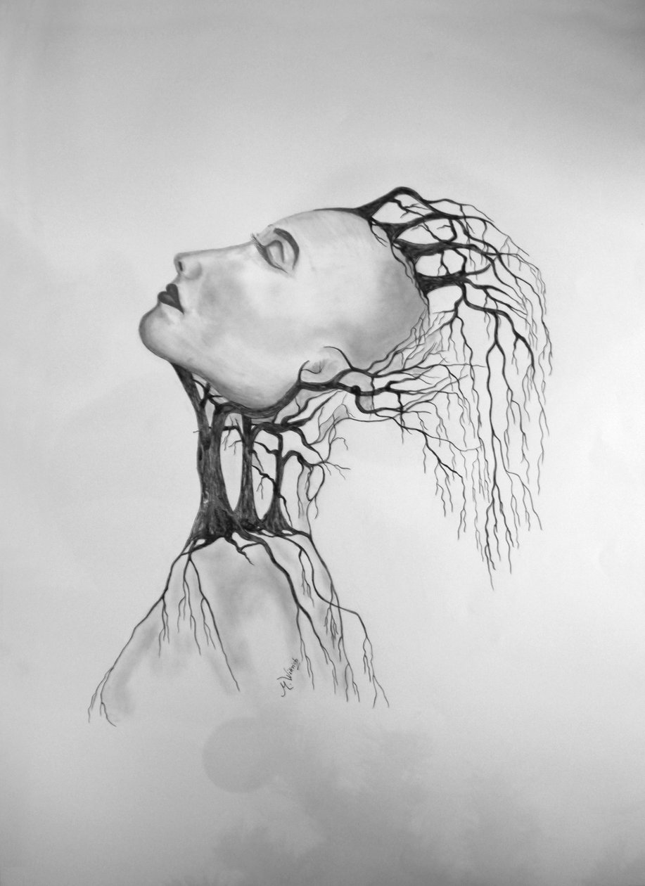 Mort des arbres 2 - Monika Wittrich