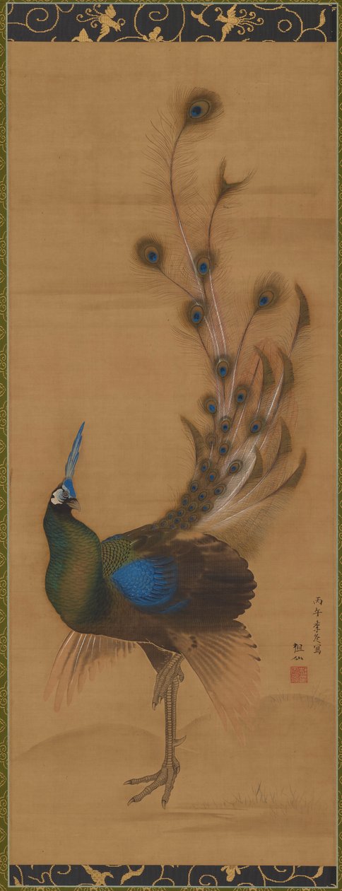 Paon - Mori Sosen