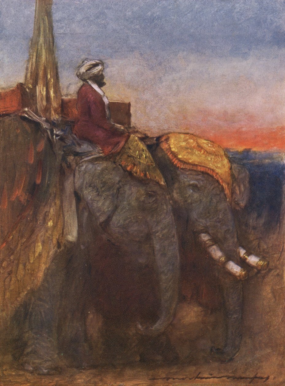 Éléphants de Jaipur - Mortimer Ludington Menpes