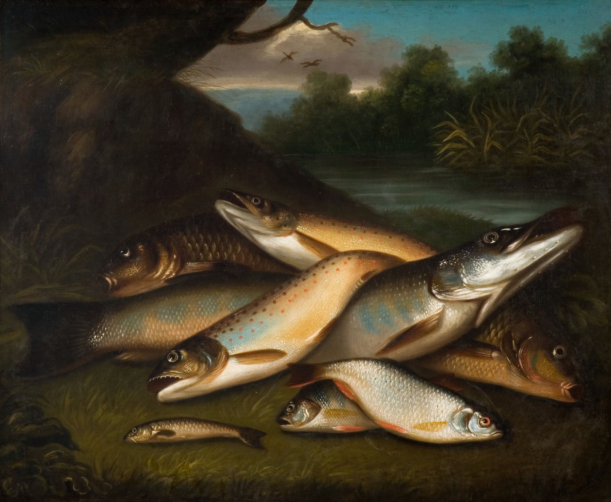 Poisson - Moses Haughton