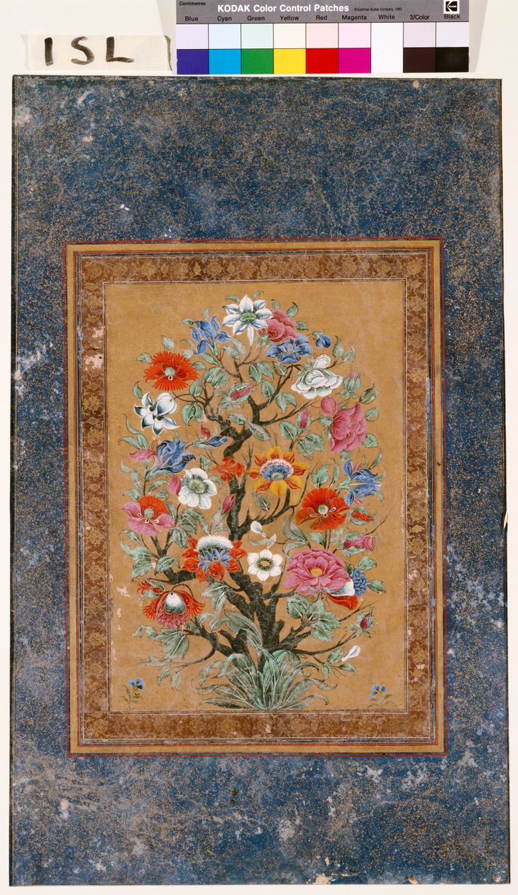 Plante mythique - Mughal School