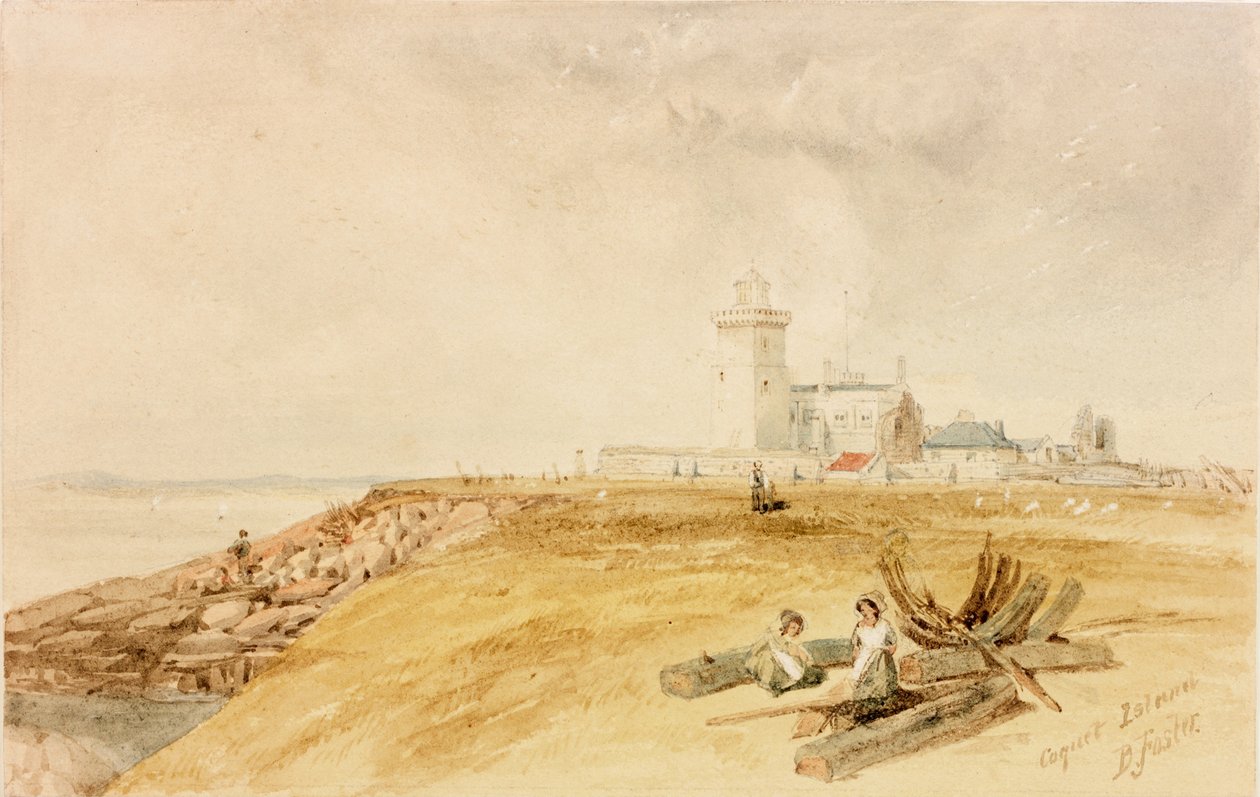 Île Coquet - Myles Birket Foster
