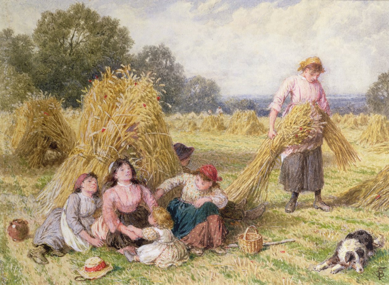 Le Champ de blé - Myles Birket Foster