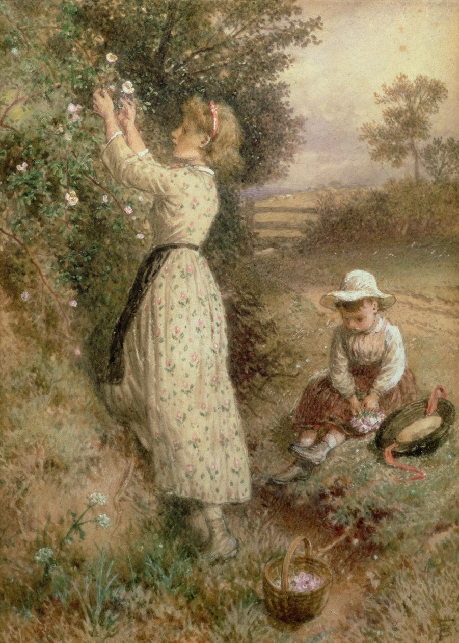 Roses sauvages - Myles Birket Foster