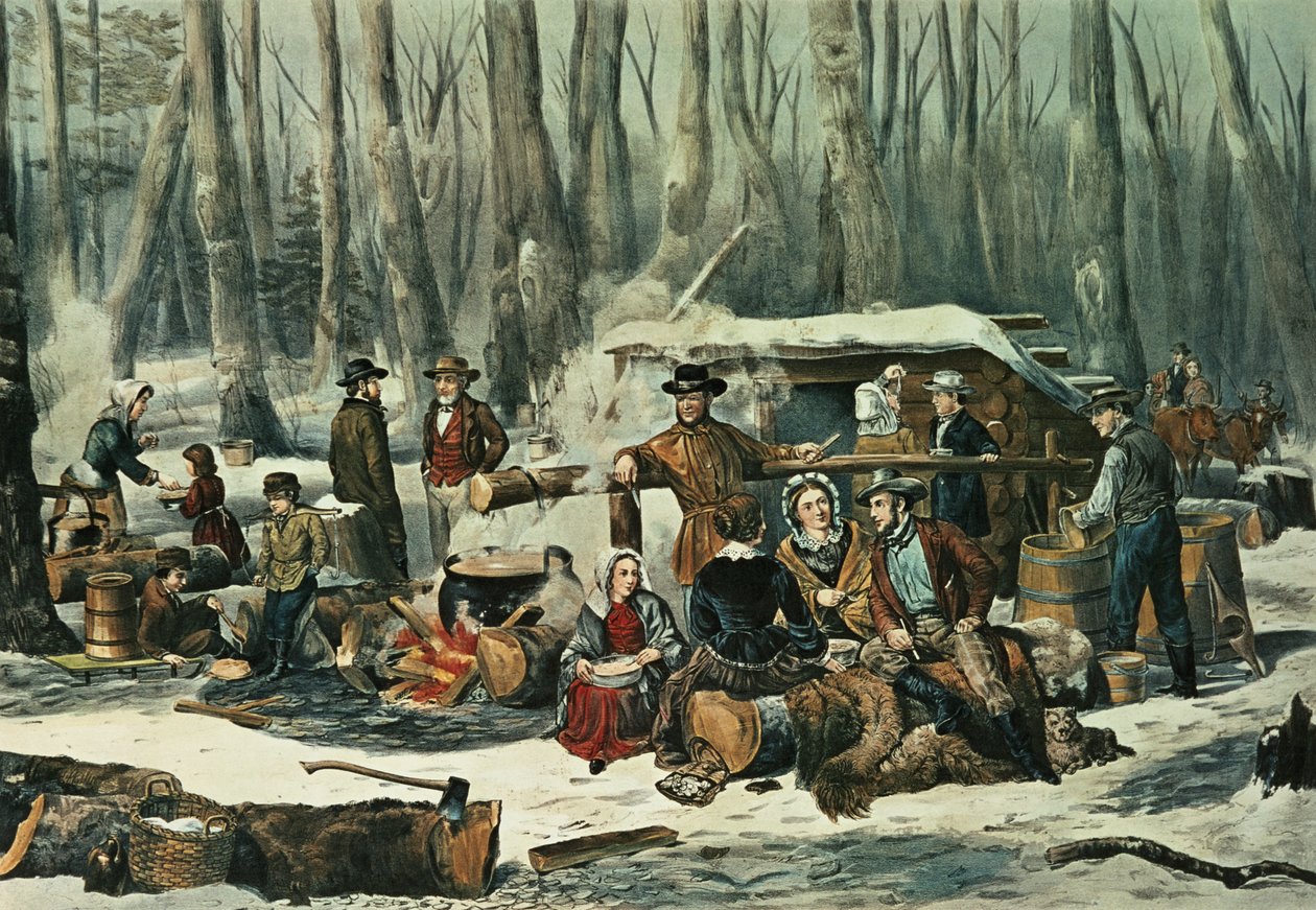 Scène de forêt américaine - Extraction de sirop d