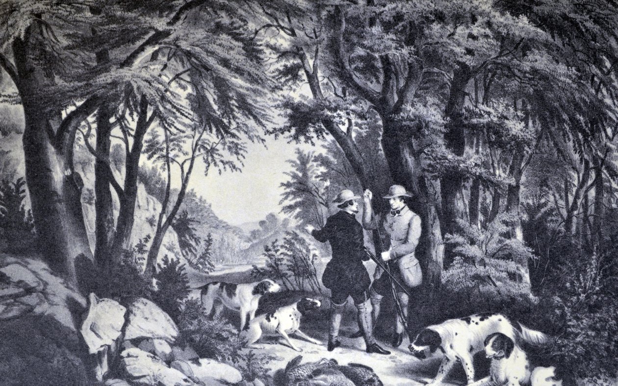 Illustration de Currier & Ives du 19ème siècle. Chasse à la perdrix - N. and Ives, J.M. Currier