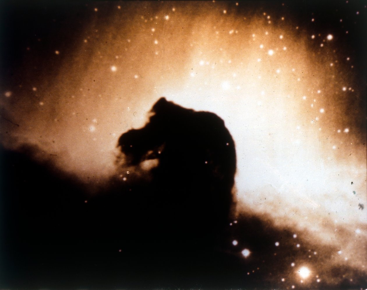 Nébuleuse de la Tête de Cheval dans Orion - NASA Images