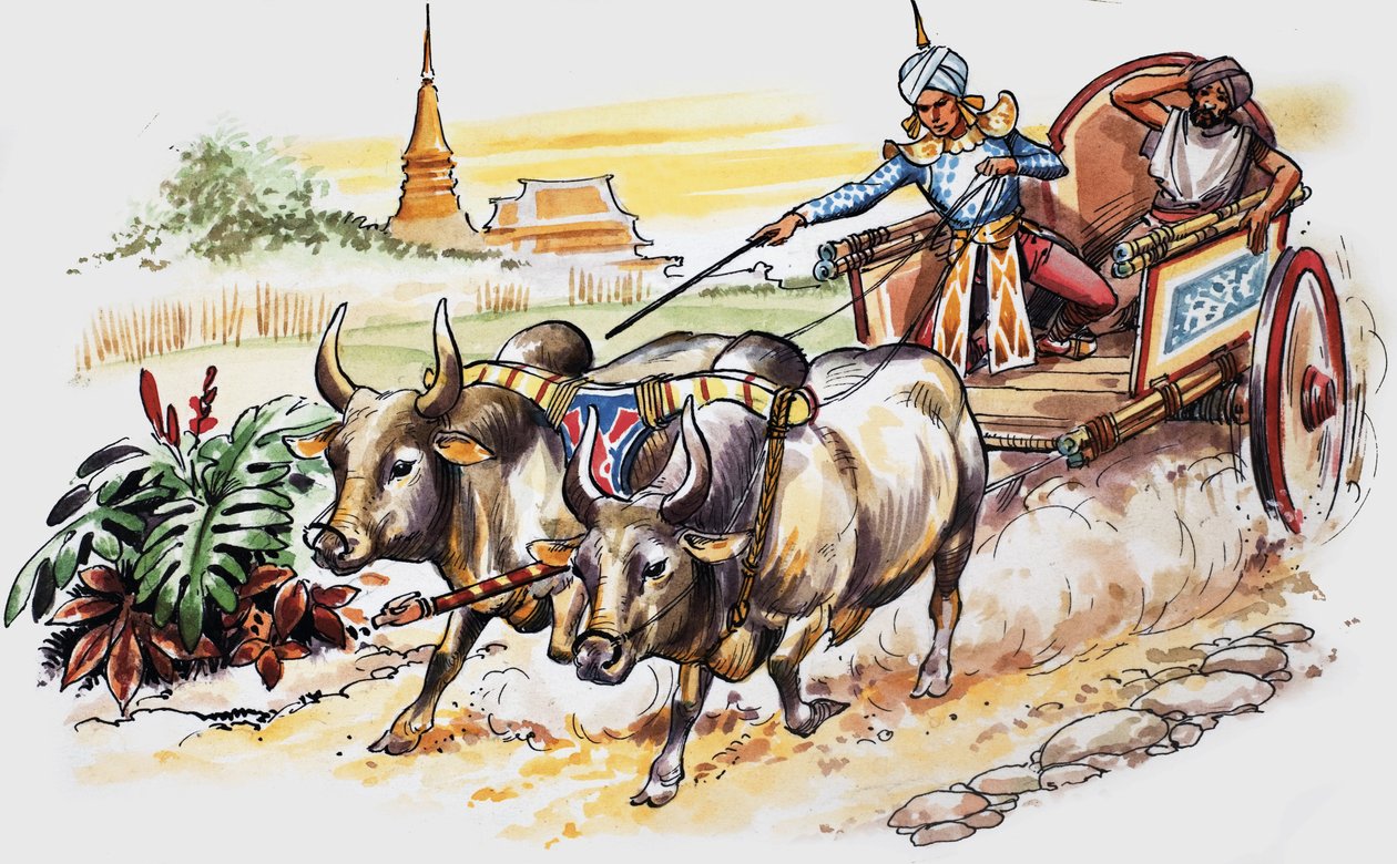 Contes de plusieurs pays - Nadir Quinto